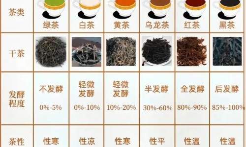青叶胆配伍与主治-青叶胆的价格网青叶胆中药别名知识网站,分享青叶胆的用法用量大全