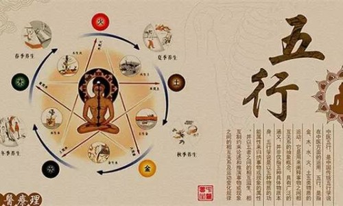青叶胆别名叫什么-青叶胆的价格网青叶胆中药别名知识网站,分享青叶胆的用法用量大全